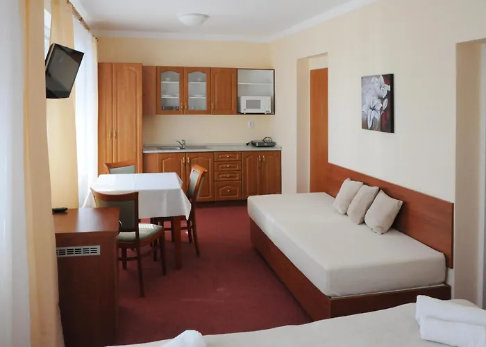 Panorama Pensionat 3*